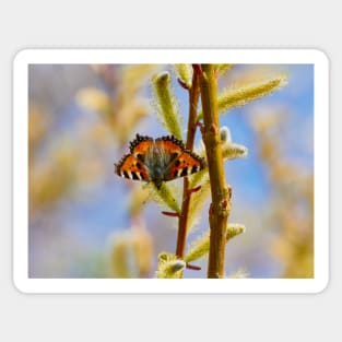 Small Tortoiseshell Sticker